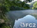 動画：20150726原生の森紫水の池